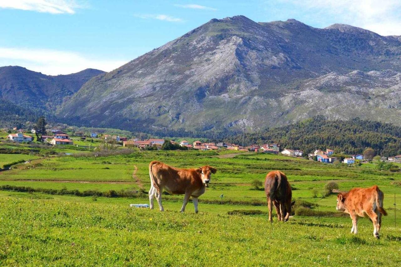 OnísRincon Con Piscina En Picos De Europa公寓 外观 照片